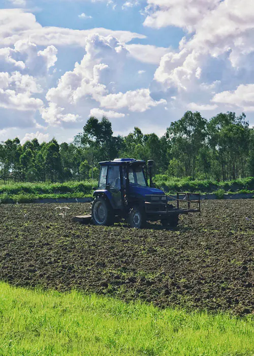 Cultivarea terenurilor agricole